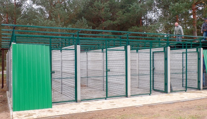 Schronisko dla bezdomnych zwierząt. Konkurs na nazwę