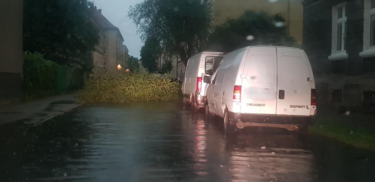 Dziesiątki powalonych drzew i zalane ulice! Strażacy walczą ze skutkami nawałnicy.