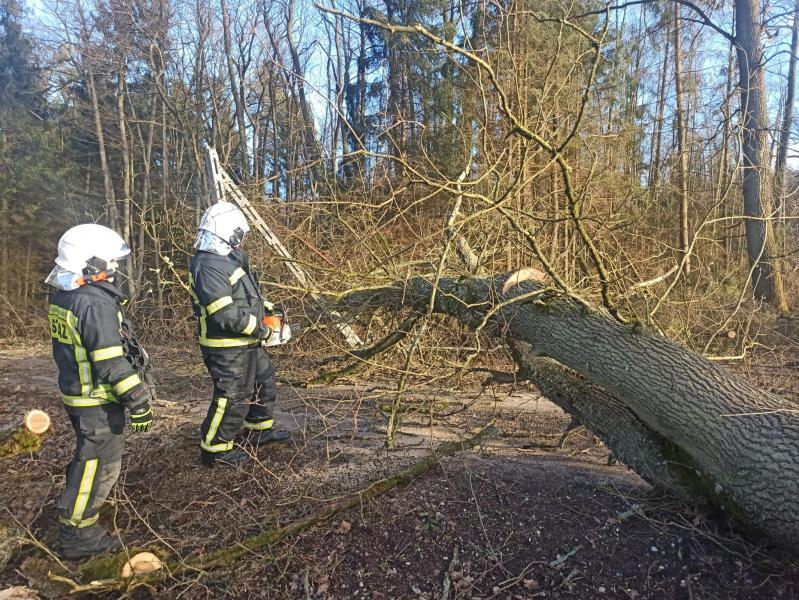 Strażacy mieli ręce pełne roboty