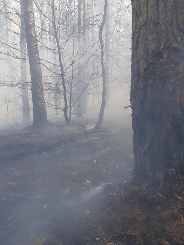 Seria ogromnych pożarów w powiecie białogardzkim  - dziesiątki strażaków walczy z żywiołem!  