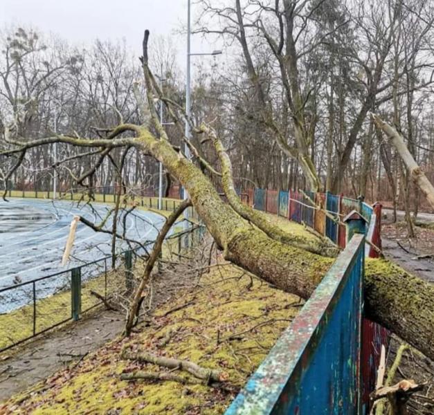 Skutki Orkanu Eunice