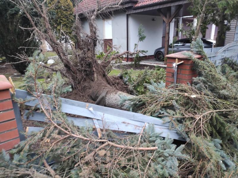 Strażacy mieli ręce pełne roboty