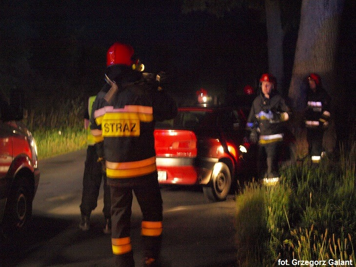 Alfa uderzyła w drzewo 