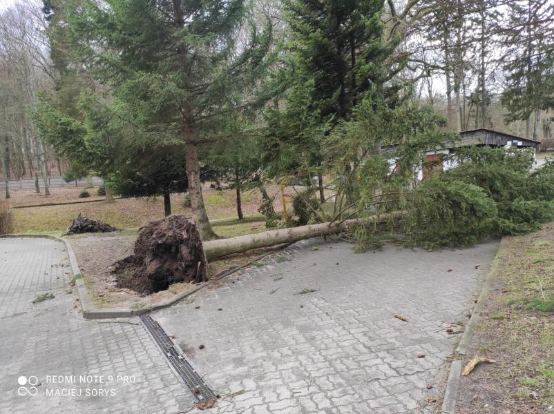 Skutki Orkanu Eunice