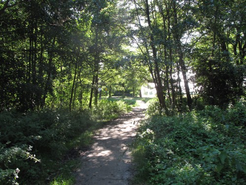 Brutalny gwałt na 11-latce 