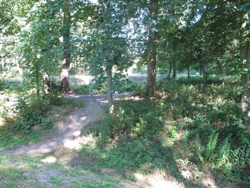 Brutalny gwałt na 11-latce 