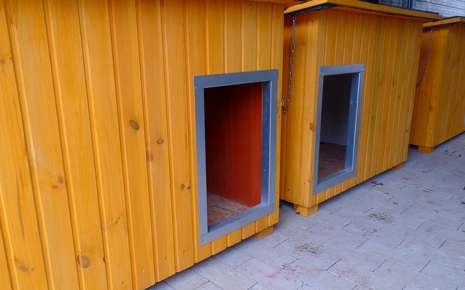 Schronisko dla bezdomnych zwierząt. Konkurs na nazwę