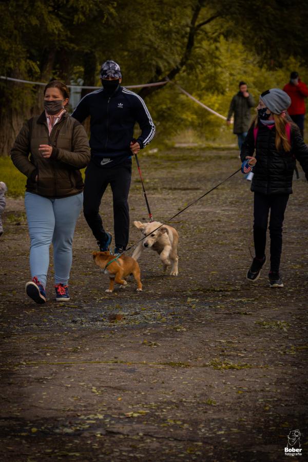 Marszobieg z Psem w Białogardzkim Schronisku SOS