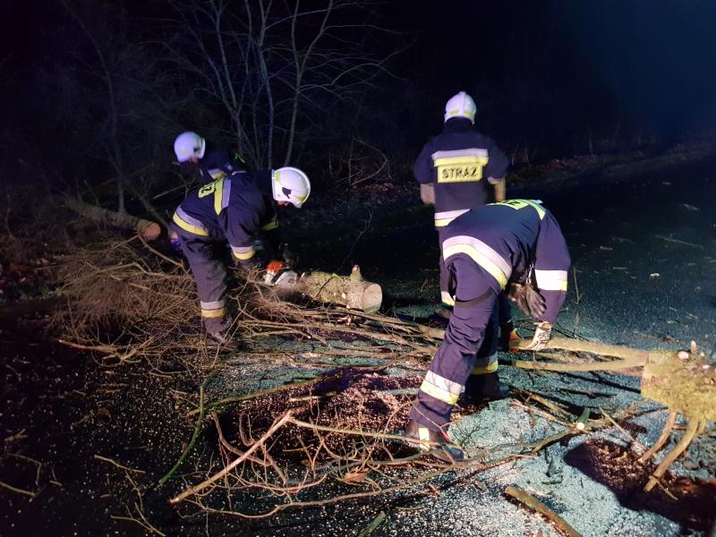 Silne porywy wiatru sieją spustoszenie w powiecie białogardzkim. 