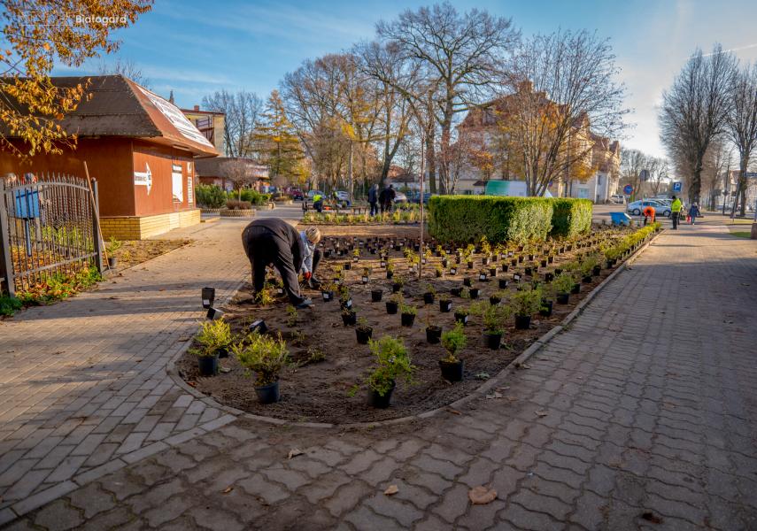 Upiększenie  skweru na ul. 1 Maja