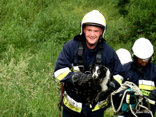 Strażacy uratowali psa. 
