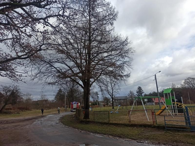 Skutki Orkanu Eunice