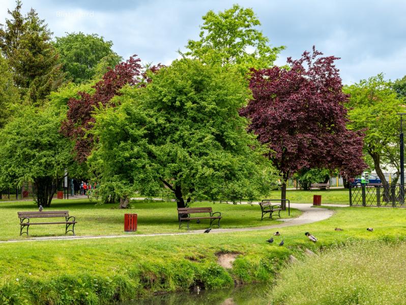 Modernizacja stawów w Parku Orła Białego