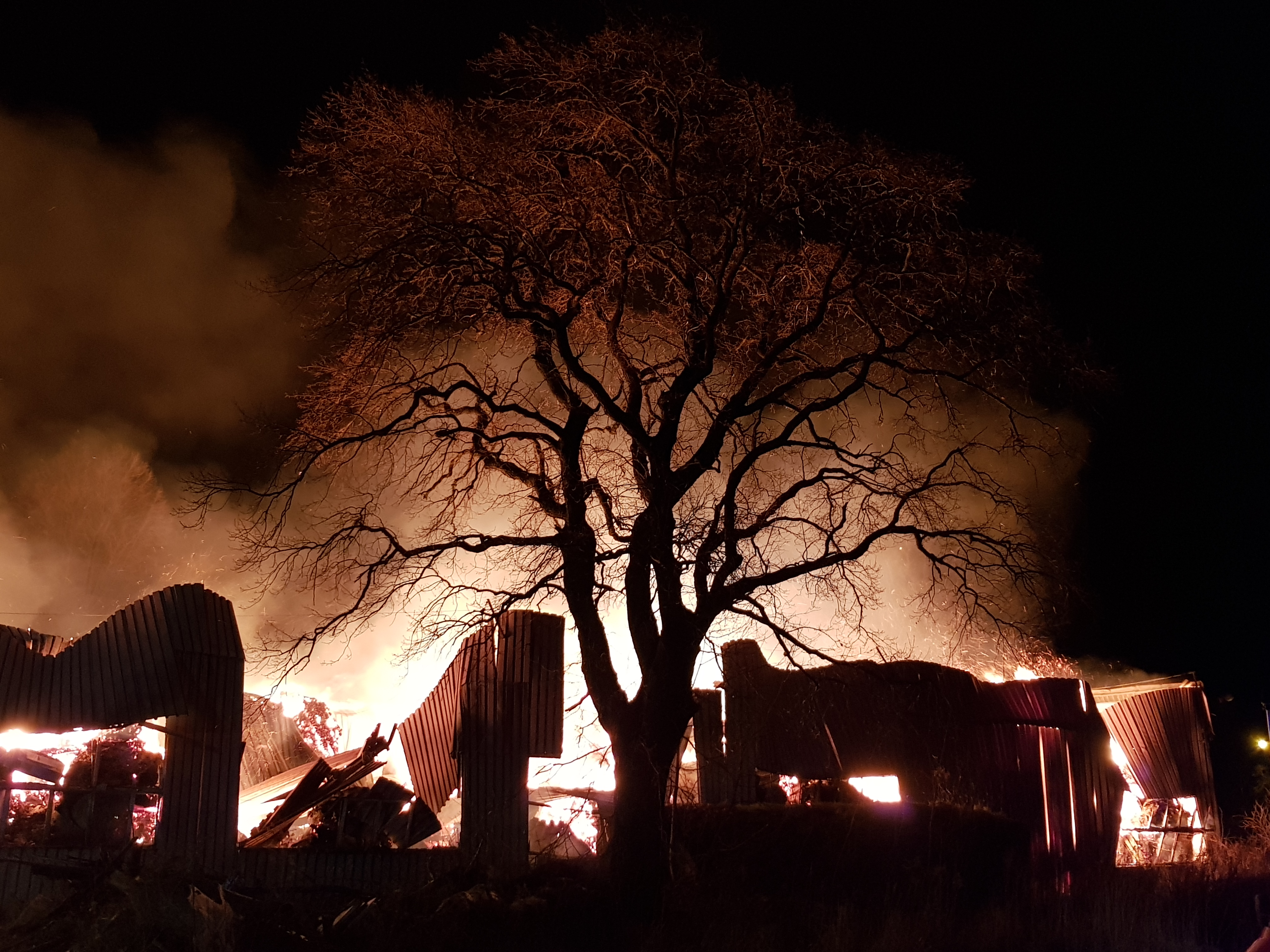 Ogromny pożar w Białogardzie! Przyczyną może być podpalenie. Foto Video!  