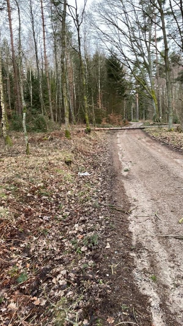 Skutki Orkanu Eunice