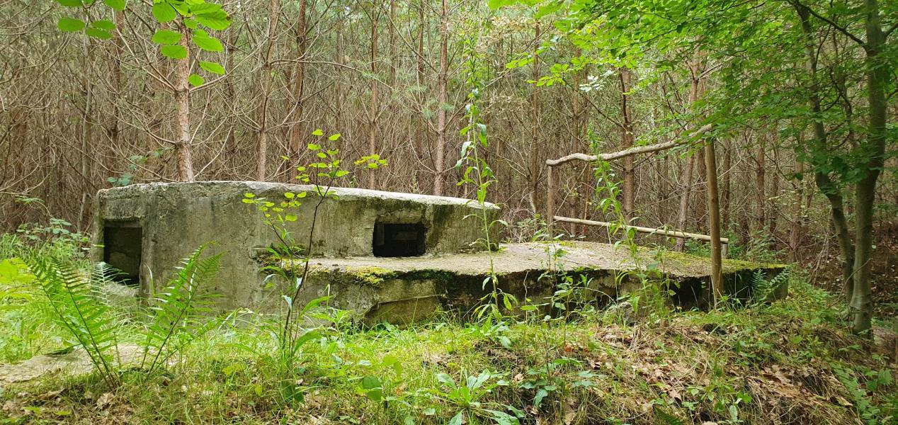 MUZEUM ZIMNEJ WOJNY PODBORSKO 3001 - Zwiedzanie z przewodnikiem przyciągnęło setki osób. 