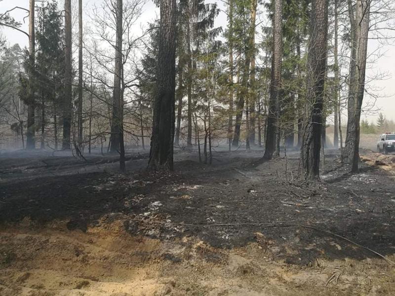 Seria ogromnych pożarów w powiecie białogardzkim  - dziesiątki strażaków walczy z żywiołem!  
