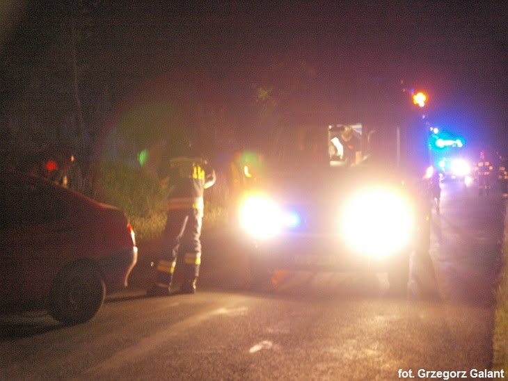 Alfa uderzyła w drzewo 