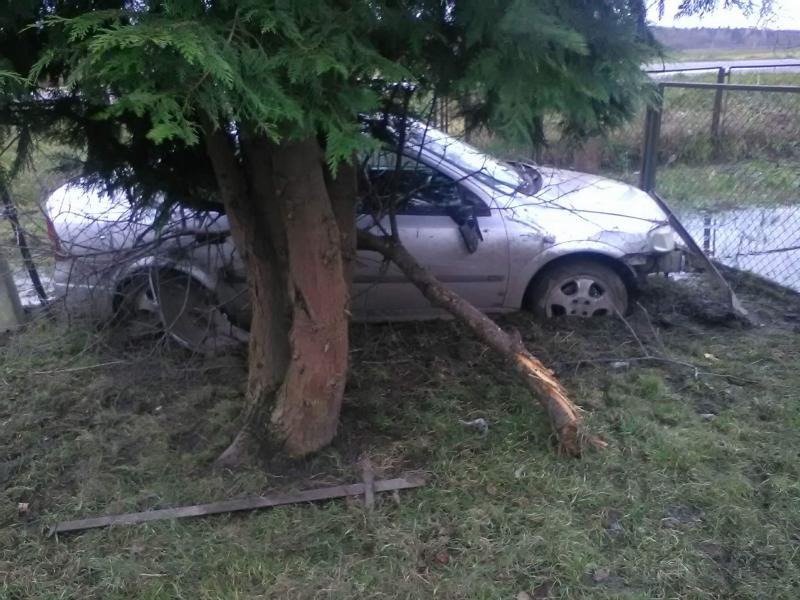 Kierował pod wpływem alkoholu - zbiegł. Schwytał go policyjny pies tropiący. 