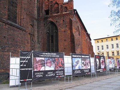 Kontrowersyjna Kampania 