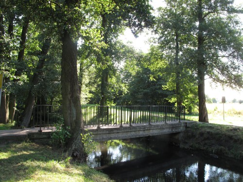 Brutalny gwałt na 11-latce 