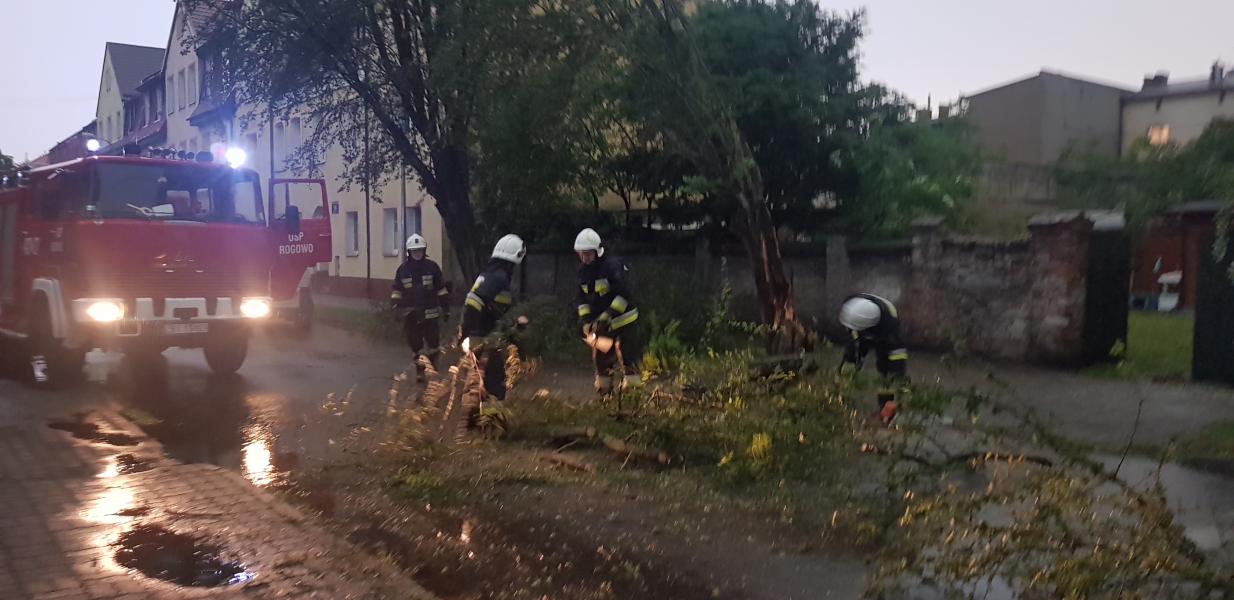 Dziesiątki powalonych drzew i zalane ulice! Strażacy walczą ze skutkami nawałnicy.