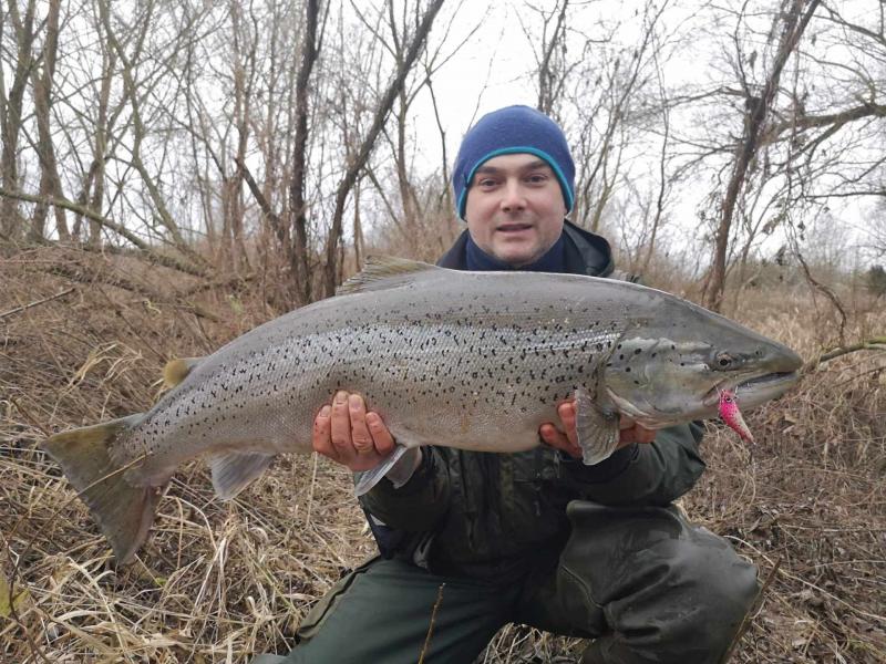 Wielka ryba z Parsęty - piękny okaz Pana Marcina!