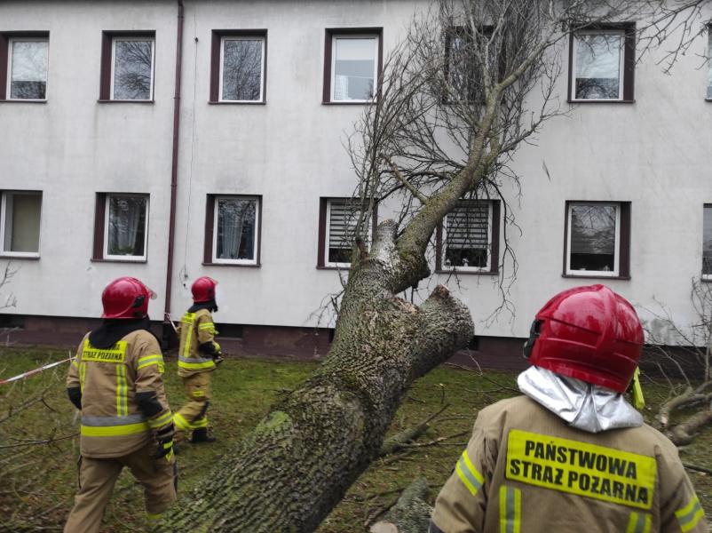 Strażacy mieli ręce pełne roboty