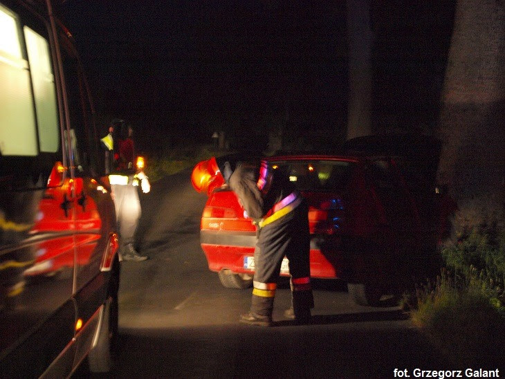 Alfa uderzyła w drzewo 