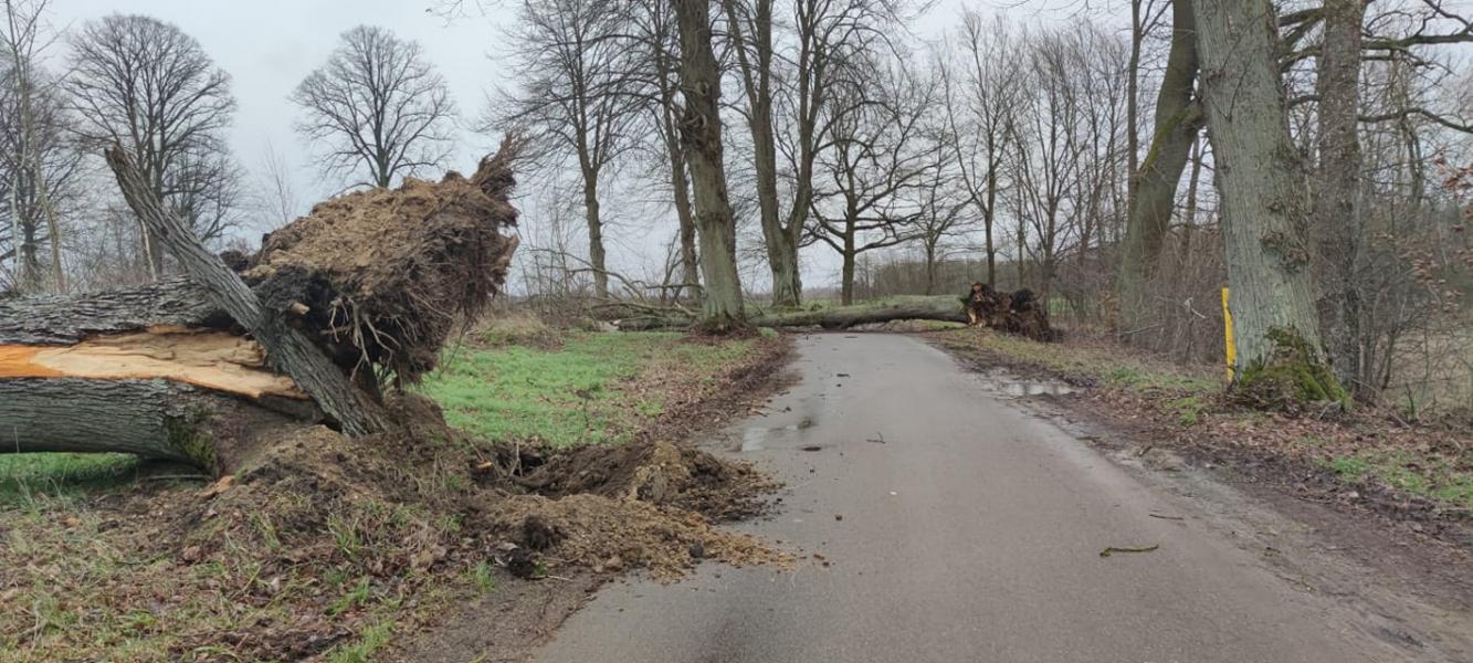 Strażacy mieli ręce pełne roboty