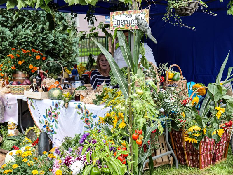 Okręgowe dożynki Ogrodów Działkowych w Białogardzie