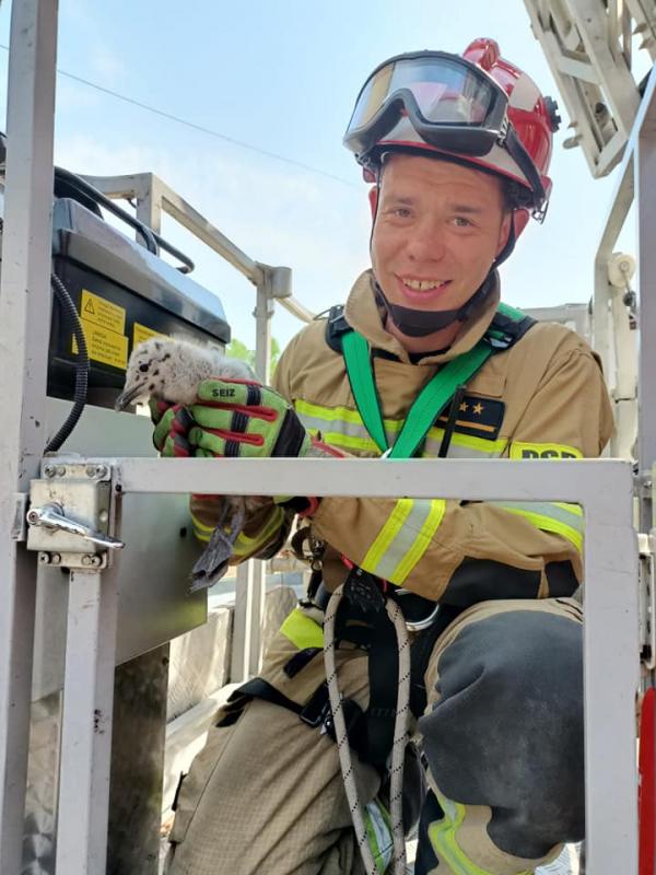 Niecodzienna Akcja Białogardzkich Strażaków