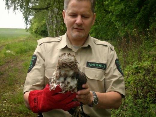 Białogard wybuduje nowe schronisko?