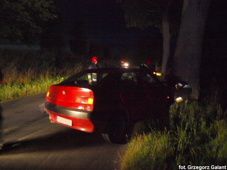 Alfa uderzyła w drzewo 