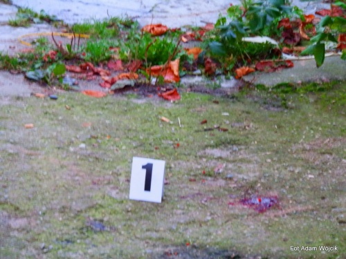 Atak nożownika w Karlinie 