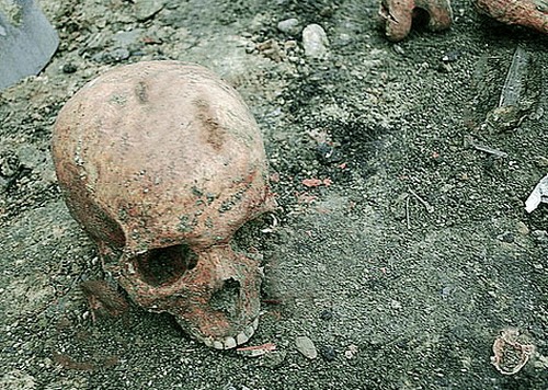 Ludzkie szczątki koło kościoła 