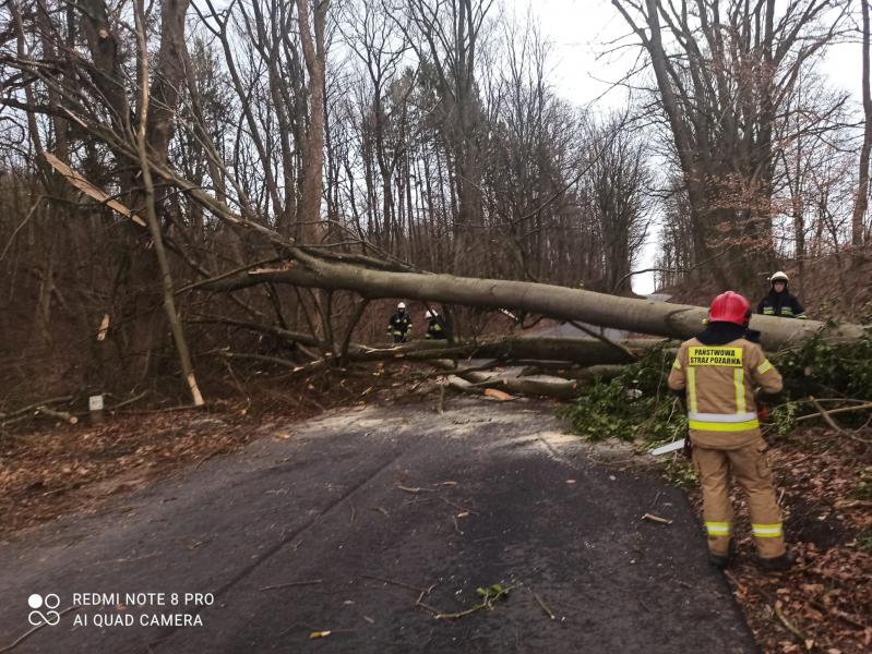 Skutki Orkanu Eunice