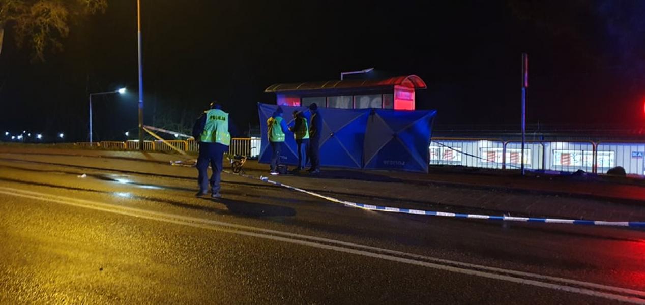 Tragiczny wypadek w Karlinie - zginęła kobieta i jej pies.