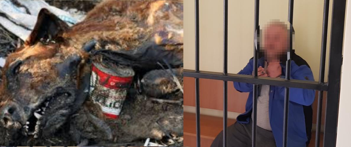 Bestialsko zamordował dwa psy i próbował je spalić w piecu! 50 latek usłyszał zarzut! 