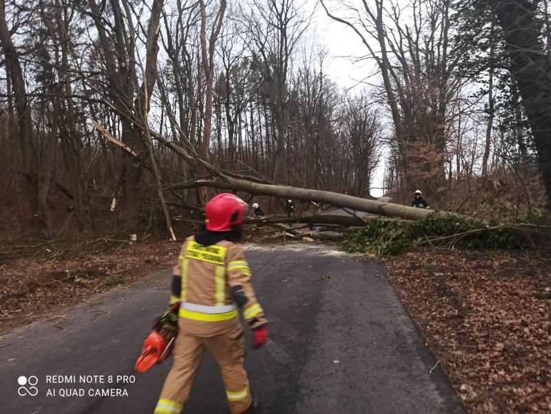 Skutki Orkanu Eunice