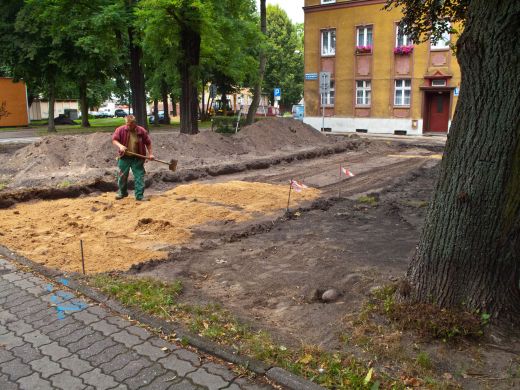 Rewitalizacja zielonych terenów ruszyła.