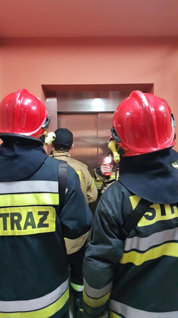 Niecodzienna interwencja Straży Pożarnej w Białogardzie.