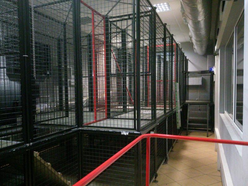 Strażacy z powiatu białogardzkiego podnoszą swoje umiejętności! Obszerna fotorelacja. 