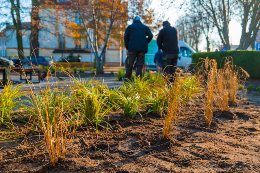 Upiększenie  skweru na ul. 1 Maja