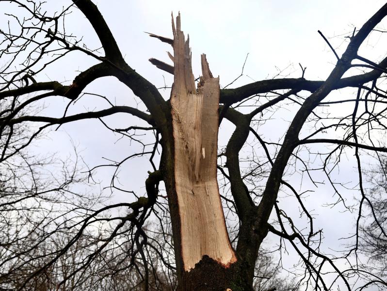 Skutki Orkanu Eunice