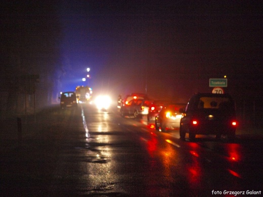 WV Golf zjechał z drogi. 