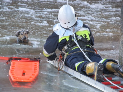 Strażacy uratowali topiącego się psa - ZDJĘCIA