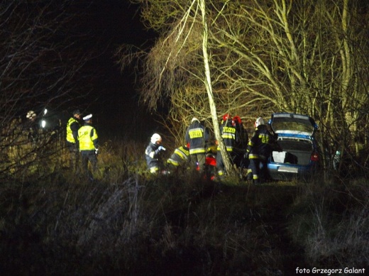 WV Golf zjechał z drogi. 