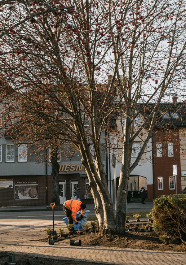 Upiększenie  skweru na ul. 1 Maja