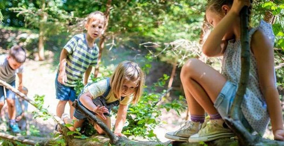 Półkolonie letnie w Białogardzie